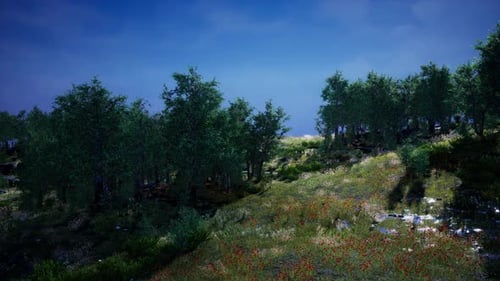 Tree Forrest in the Mountains