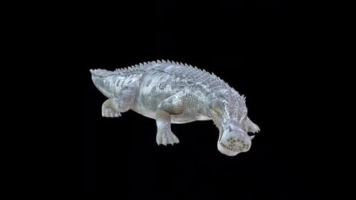 Wild Crocodile Idle
