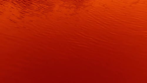 Wellen auf der Oberfläche, blutrote Farben des Wassers bei blaugrüner Algenblüte