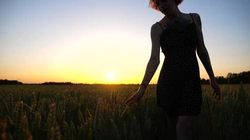 Young Girl in Black Dress Walking Through the Barley Field and Gently Touching Ripening Ears of Crop