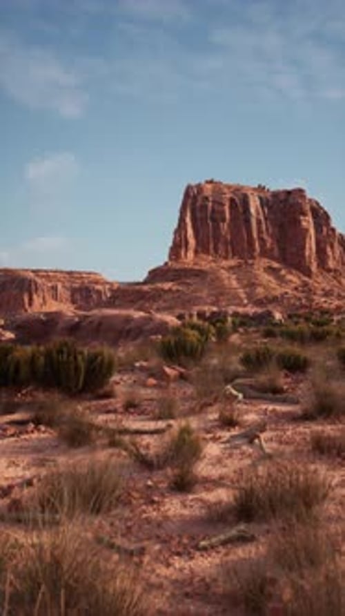 Desert Landscape With Mountain in Background