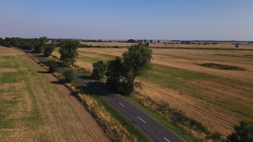 Aerial View of Country Road Near Agriculture Fields