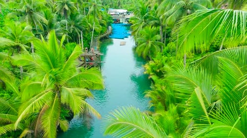 An Aerial View of the Kalibiru River Winding Through a Lush Tropical Palm Tree Jungle People Swim