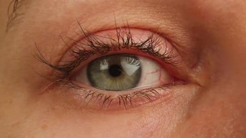 Close Up of Green Eye with Long Lashes