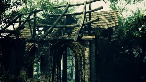 Ancient Monastery Ruins Amidst Woods