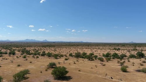 Wide aerial shot of the Sonoran desert in Arizona, slow moving drone shot with small plants and tree
