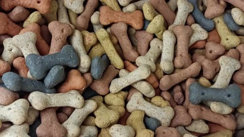 Variety of Delicious Dog Biscuits in Bone Shape