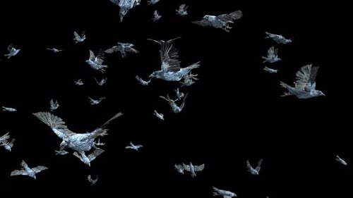 Dynamic Flock of Dark Birds Flying Across Screen
