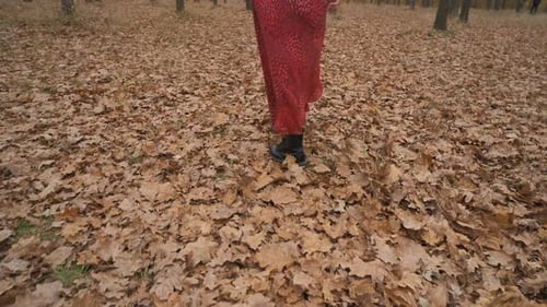 Young Beautiful Woman Walking with Her Dog in the Forest or Park