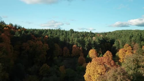 AERIAL: Magnificent rural scenery in sunset light: a landscape of hill framed by beautiful branches