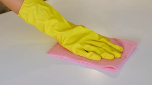 Hand in Glove Cleaning Table with Cloth