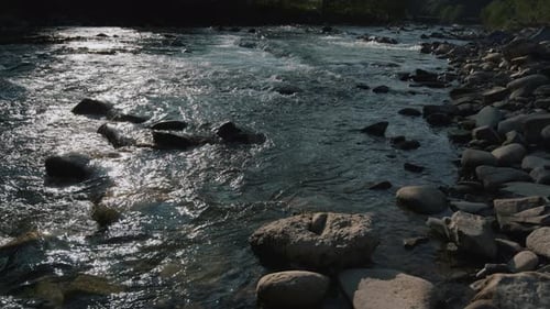 Wild mountain stream flows in slow motion through the carpathian wilderness
