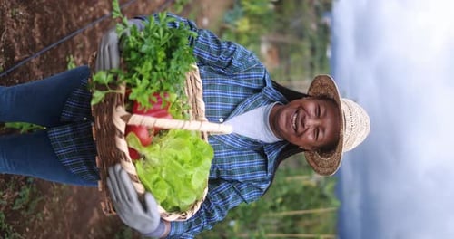 Happy African Senior Woman Holding Basket with Fresh Vegetable - Garden And