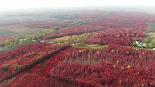 Aerial view of countryside