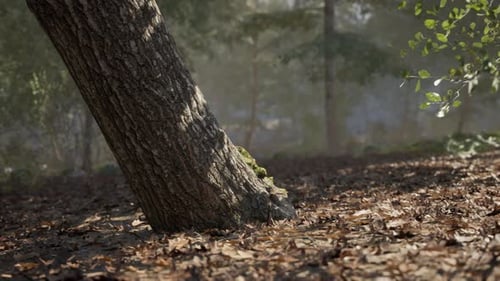 A Tilted Tree Trunk in Peaceful Daytime Forest with Fallen Leaves