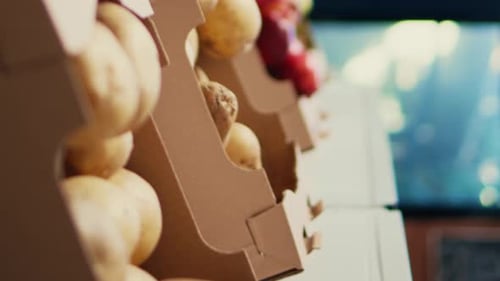 Vertical Video Eco Friendly Homegrown Produce in Crates on Store Shelves
