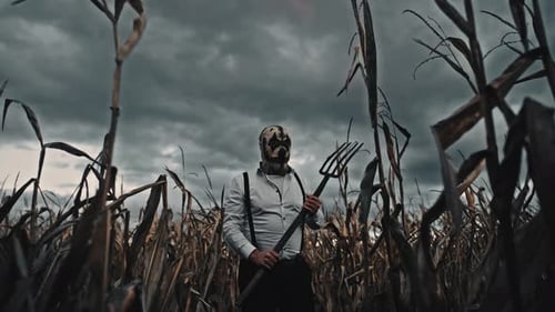 Halloween Killer in a Cornfield
