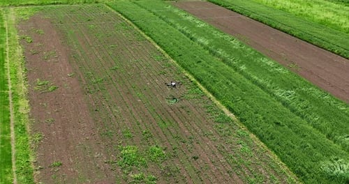 Aerial Drone Flying Over a Cultivated Farm Field During a Crop Monitoring or Spraying Mission