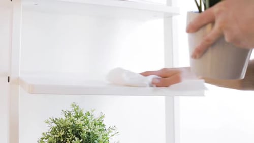 Woman Cleaning White Shelves in Bright Room