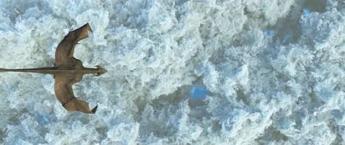 Der Drache fliegt über den Wolken. Fantasy-Kunstszene. CGI-Animation. 3D-Rendering
.