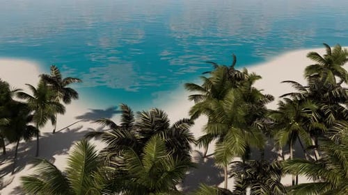 Beautiful summer, tropical landscape near the sea with palm trees