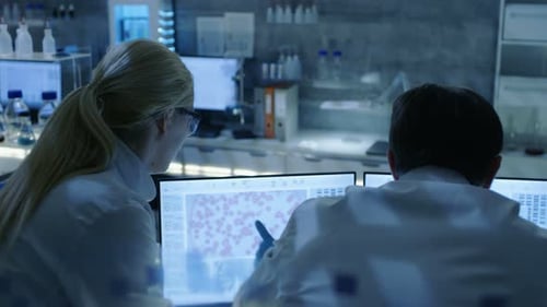 Back View of Team of Senior and Young Scientists Working on Problem Solution. They're Looking for I