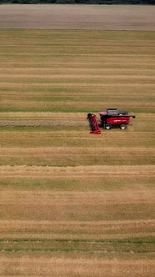Aerial view. Combine harvester working on the wheat field. Wheat Harvesting. Vertical video