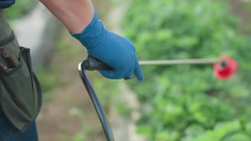 Close Up Rear View Gardener Spraying Garden with Mist