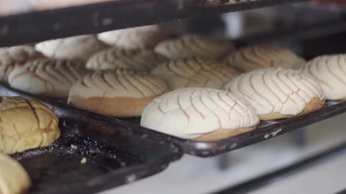 Close-up of multiple trays filled with assorted baked pastries cooling on racks inside a bakery.