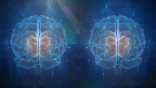 Digital Brain Synapse Animation with Glowing Connections and Light Rays