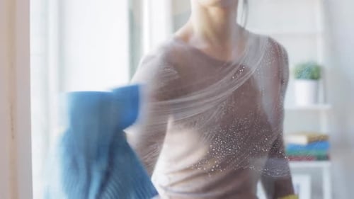 Woman Cleaning Window at Home