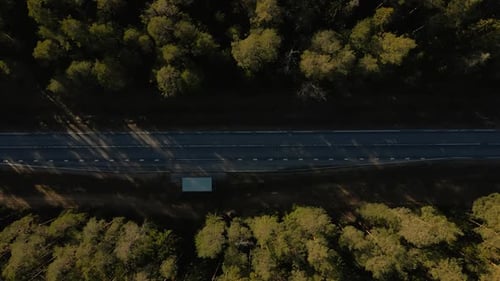 Forested Route Trucks Pass Through Tall Trees Along Scenic Highway