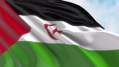 Drapeau du Sahara occidental agité