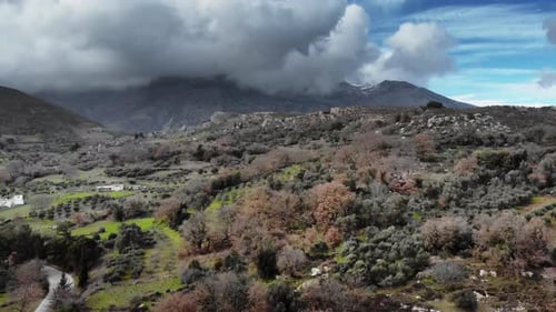 Aerial view of agriculture field