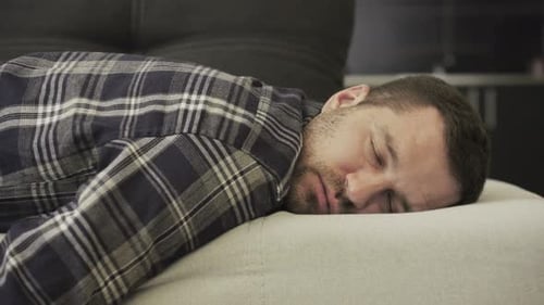 Young Man in Casual Sleeping on Couch at Home Slow Motion