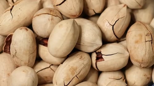 Overhead View of Shelled Pecans Rotating