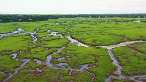 Aerial View of Wetlands with Waterways, Reflective Pools, and Intricate Patterns