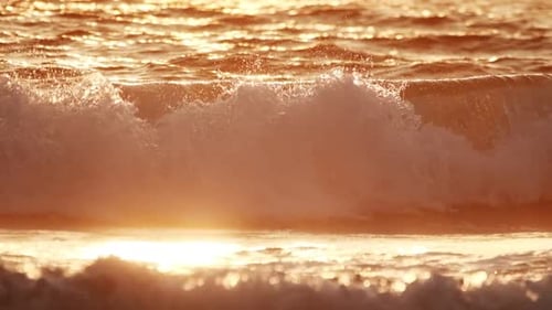 Breaking Ocean Wave on Sunset