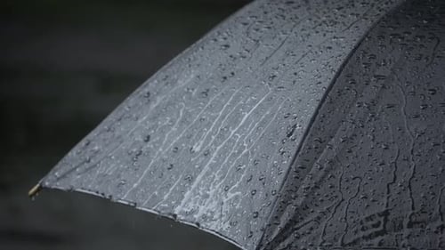 Black umbrella getting wet in rain.