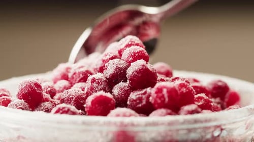 Frozen Cranberries Cooking for Tea or Jam Background Close Up of Cranberry Berries in on the Kitchen