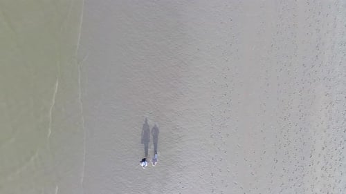 Ascending top down shot of people silhouette walking on sandy beach beside seashore.