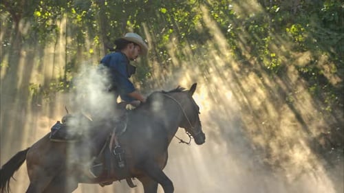 A cowboy riding a horse through dramatic rays of sunlight shining between the trees