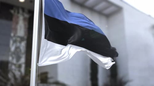 Estonian Flag Waving Naturally on Flagpole