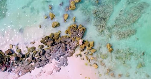 Waves Crash Onto Rocky Tropical Beach, Rising Drone