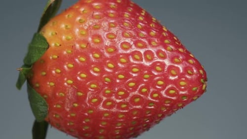 Juicy red strawberries, rotates, close-up, on a gray background.