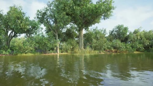 Calm Lakeside View with Lush Trees and Reflecting Water in Daytime Setting