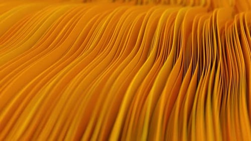 Abstract Wavy Lines Fluid Motion Background