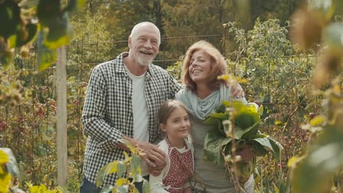 Senior Couple with Grandaughter Gardening in the Backyard Garden Allotment