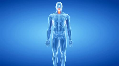 Medical animation showing painful neck cervical spine in human body