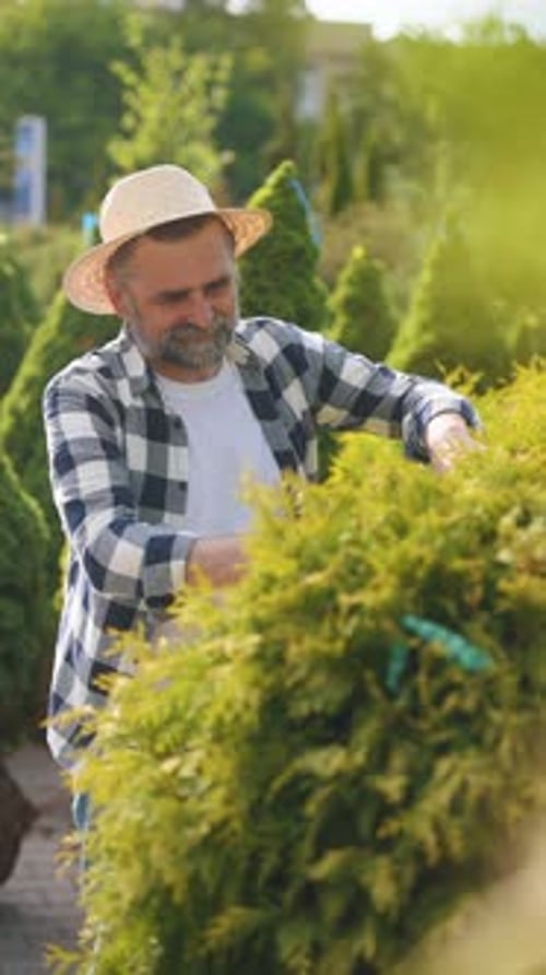 Concentré sur la coupe de la brousse. Le jardinier principal est au travail pendant la journée.